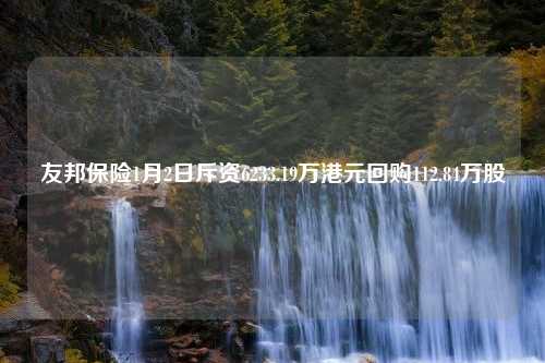 友邦保险1月2日斥资6233.19万港元回购112.84万股