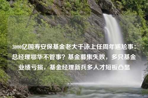 3000亿国寿安保基金老大于泳上任周年尴尬事：总经理鄂华不管事？基金募集失败，多只基金业绩亏损，基金经理新兵多人才短板凸显