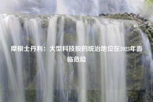 摩根士丹利：大型科技股的统治地位在2025年面临危险