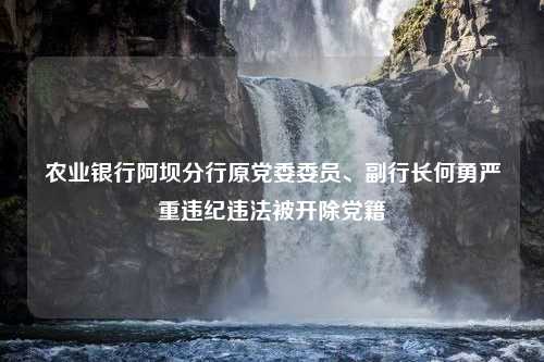 农业银行阿坝分行原党委委员、副行长何勇严重违纪违法被开除党籍