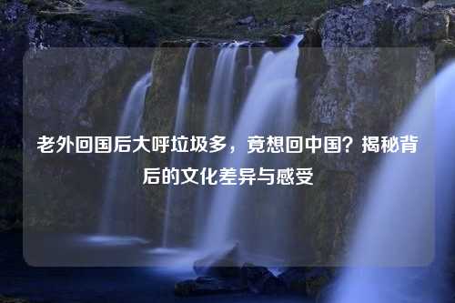 老外回国后大呼垃圾多，竟想回中国？揭秘背后的文化差异与感受