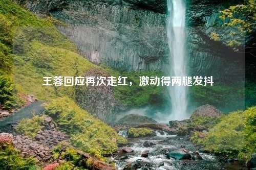 王蓉回应再次走红，激动得两腿发抖