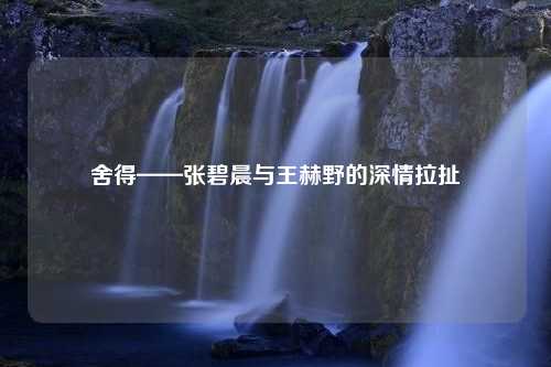 舍得——张碧晨与王赫野的深情拉扯