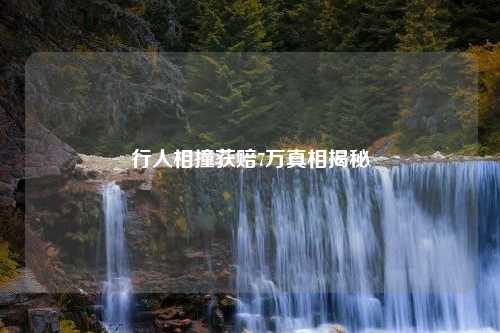 行人相撞获赔7万真相揭秘