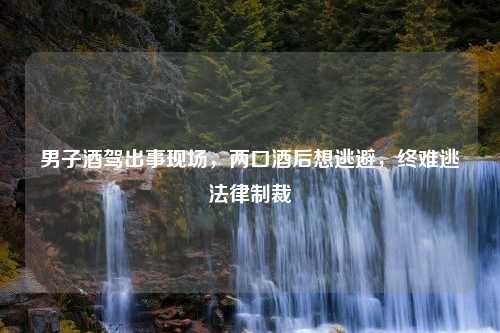 男子酒驾出事现场，两口酒后想逃避，终难逃法律制裁