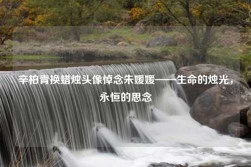 辛柏青换蜡烛头像悼念朱媛媛——生命的烛光，永恒的思念