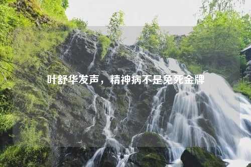 叶舒华发声，精神病不是免死金牌