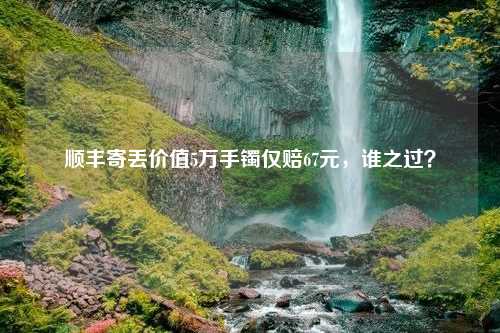 顺丰寄丢价值5万手镯仅赔67元，谁之过？