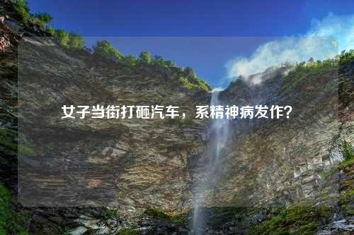 女子当街打砸汽车，系精神病发作？