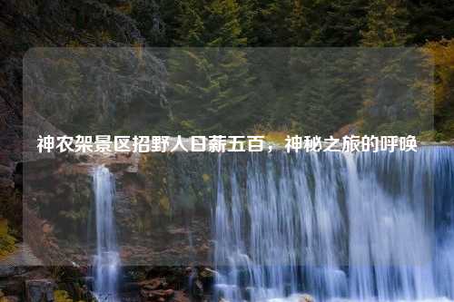 神农架景区招野人日薪五百，神秘之旅的呼唤