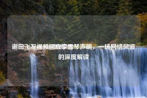 谢田飞发视频回应李雪琴声明，一场网络风波的深度解读